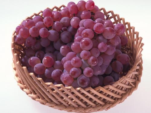 mSҸVңŮB(yng)@4Nrˮ